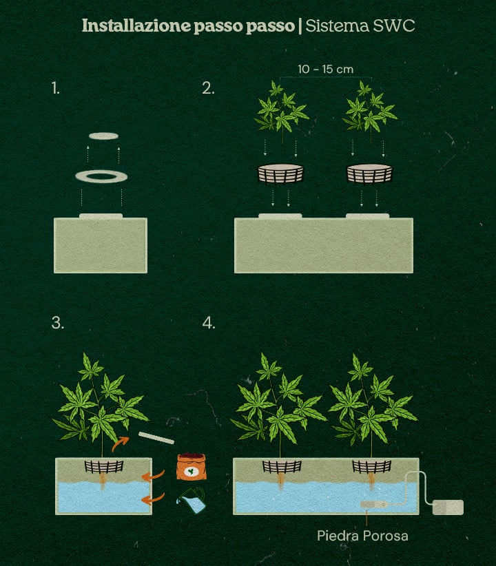 Hoe bouw je een shallow water culture kweeksysteem voor wietplanten? Hoe bouw je een shallow water culture kweeksysteem voor wietplanten?