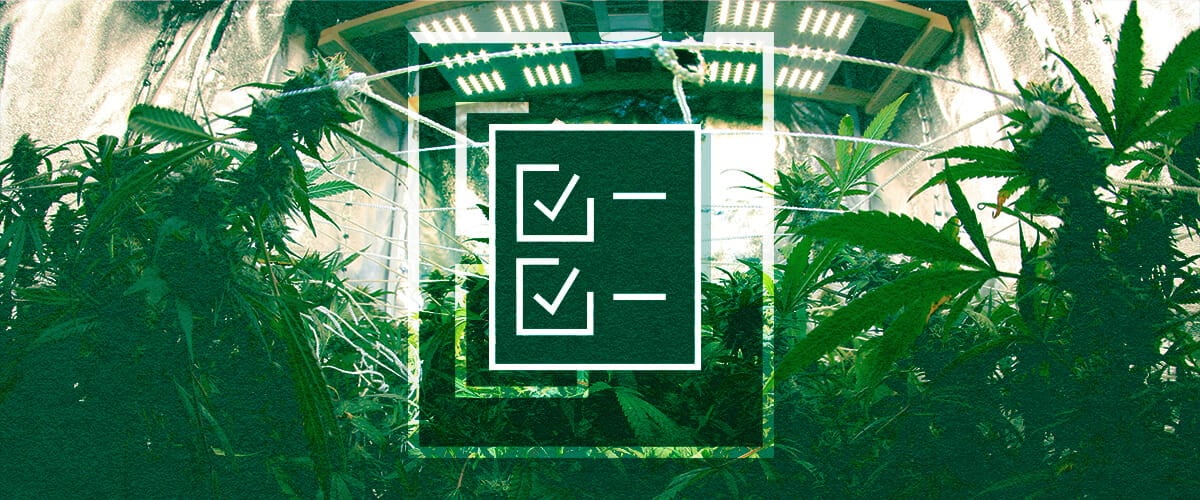 Checklist voor de Uitrusting van een Kweektent: Lampen, Ventilatie, Timers & Stroom Checklist voor de uitrusting van een kweektent voor beginners: Zorg voor succes met essentiële verlichting, ventilatiesystemen, timers en controllers, plus energiebeheer voor je indoor tuin.