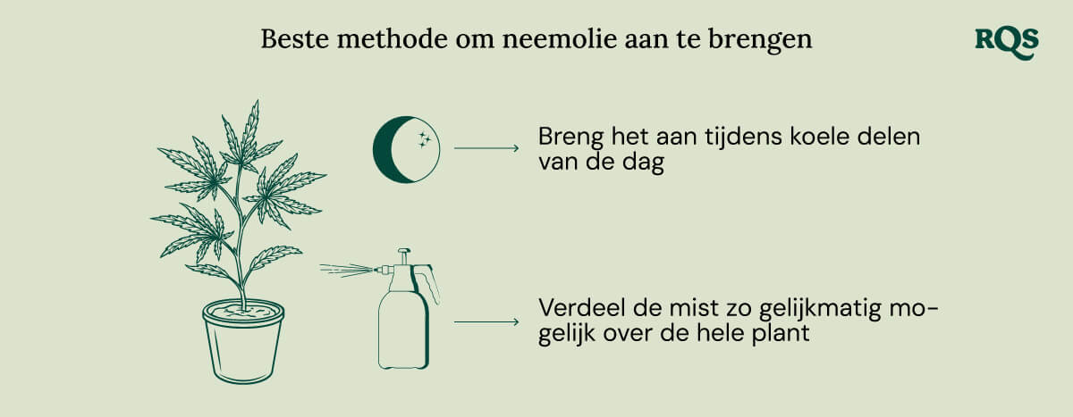 How to apply neem oil