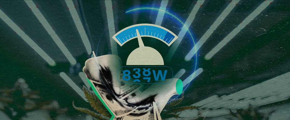 Hoeveel Elektriciteit Gebruiken LED-Groeilampen: Meter Afbeelding Futuristische meter met cannabisbladeren, toont het stroomverbruik van LED-groeilampen (100W-800W) voor zaailingen tot bloei op een donkergroene achtergrond, ideaal voor cannabis kweektips.