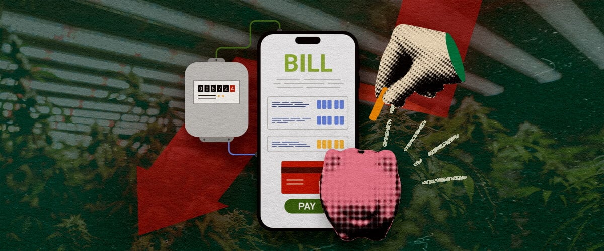 Hoe Verlaag Je Growroom Elektriciteitskosten: Meter Afbeelding Elektriciteitsmeter met smartphone-rekening en spaarpot, toont manieren om elektriciteitskosten van de growroom te verlagen op een donkergroene achtergrond, ideaal voor cannabis besparingstips.