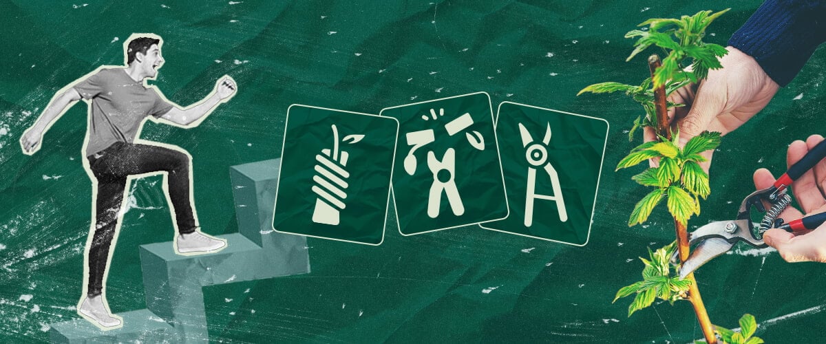 Cannabisplanten Enten: Jouw Stapsgewijze Handleiding Leer hoe je cannabisplanten kunt enten met onze stapsgewijze handleiding. Ontdek de benodigde apparatuur, hoe je de beste onderstam en ent selecteert, en volg onze enttutorial.