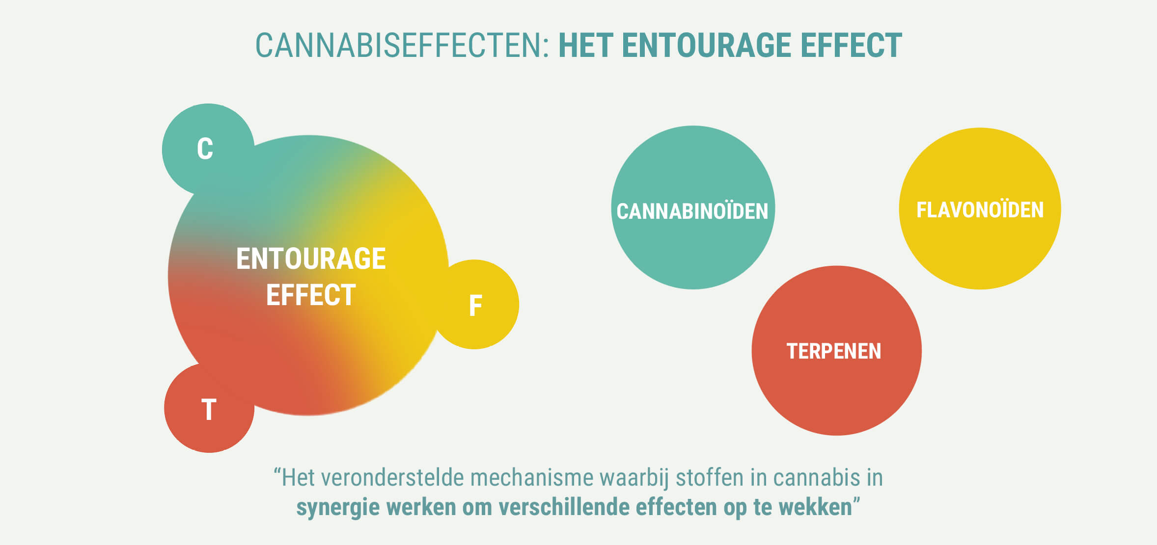 ZIJN DE EFFECTEN VAN INDICA EN SATIVA ANDERS?