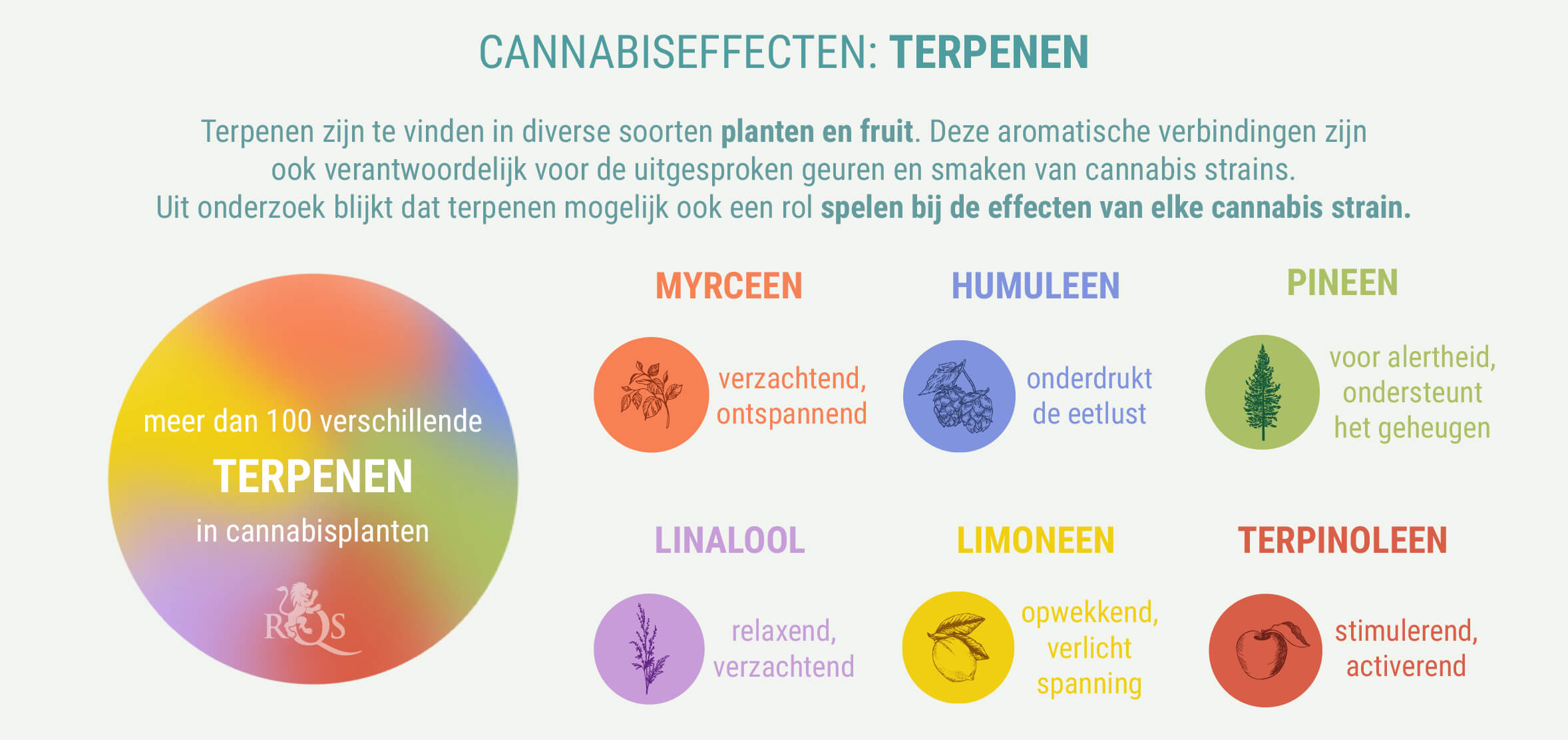  MEESTAL EEN COMBINATIE VAN INDICA EN SATIVA