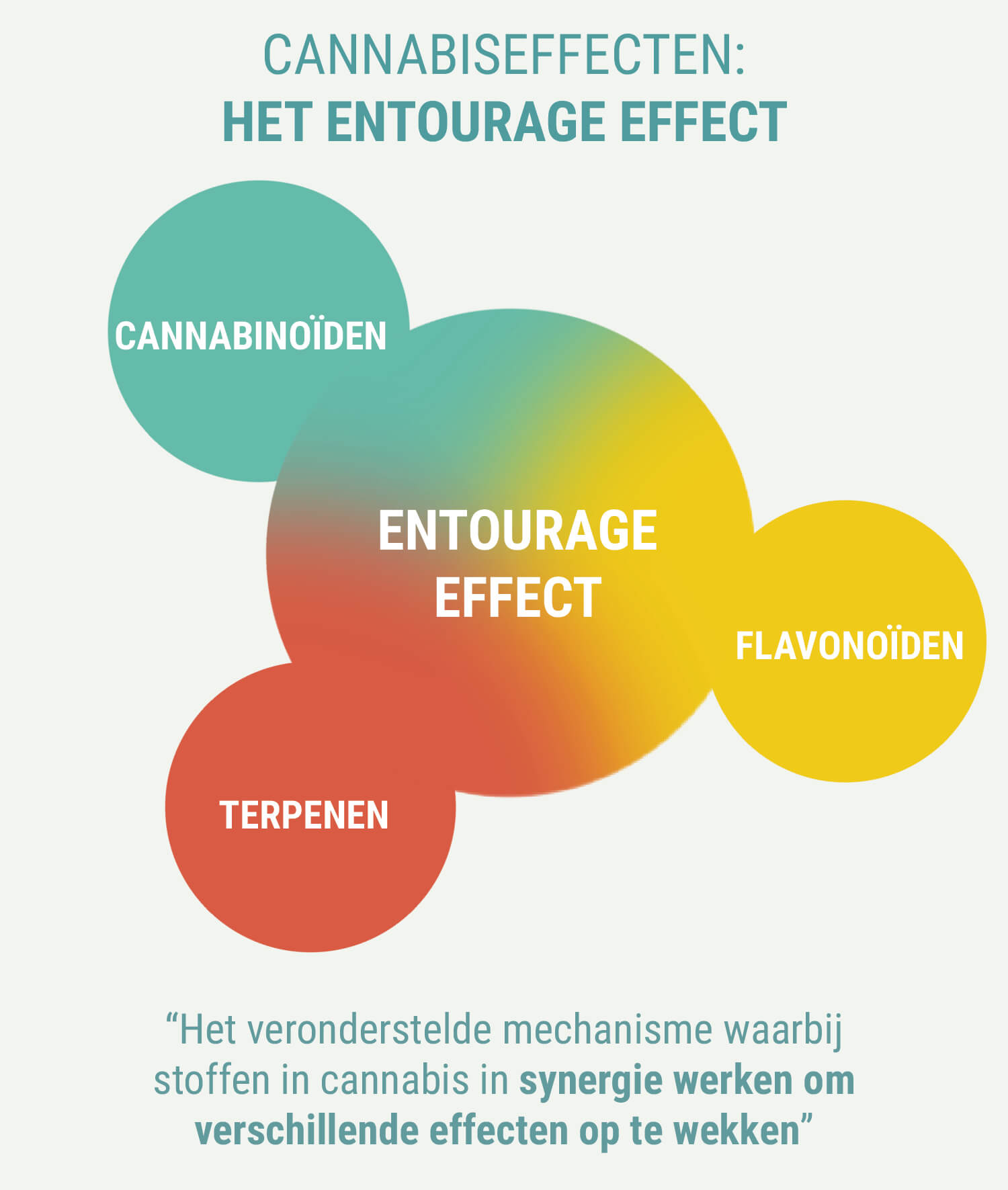 ZIJN DE EFFECTEN VAN INDICA EN SATIVA ANDERS?