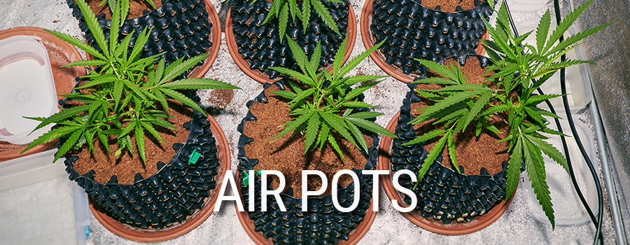 Air Pots Cannabis Teelt