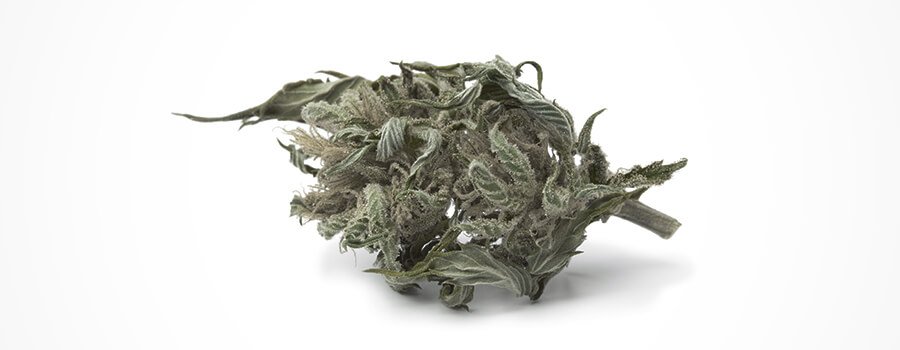 Cannabis Verkleuring