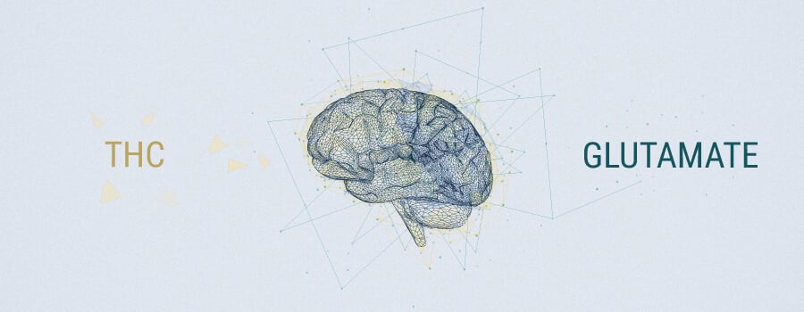 Neurotransmitters En Cannabis