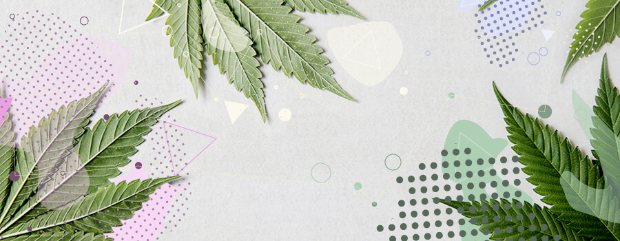 terpenen En Cannabis