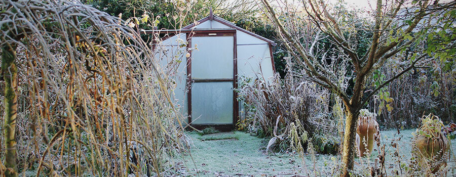 Winter Voorwaarden Kas