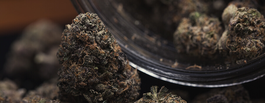 Pot Met Cannabis Om Het Op Te Slaan