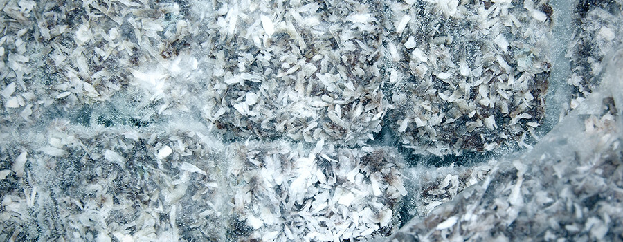 Mold Mildew In Cannabis Eetbaar