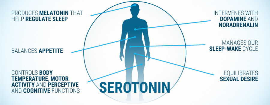 serotonin og noradrenalin serotonin og noradrenalin