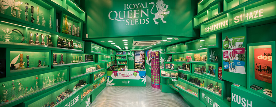 Cannabis Seed Shop Royal Queen Seeds in Barcelona