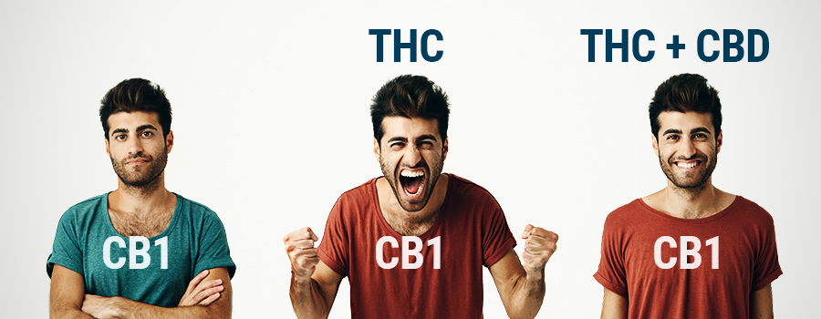 WHO THC en CBD