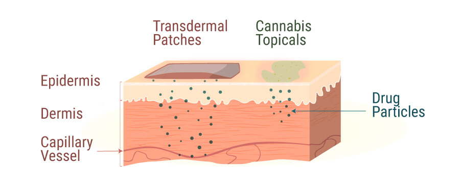 Huidcrèmes Worden Met Een Scala Aan Cannabinoïden Verrijkt