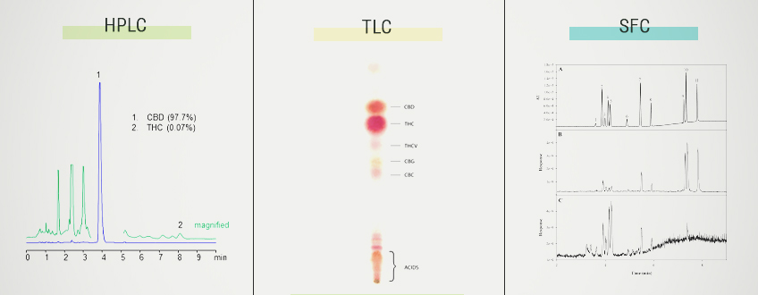 HET BEREKENEN VAN HET PERCENTAGE CANNABINOÏDEN