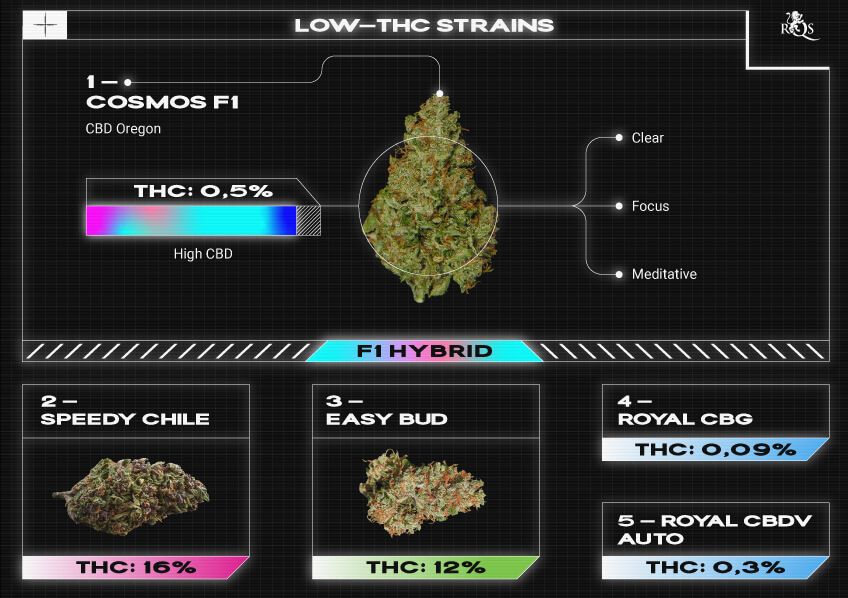 Top RQS Low THC Strains