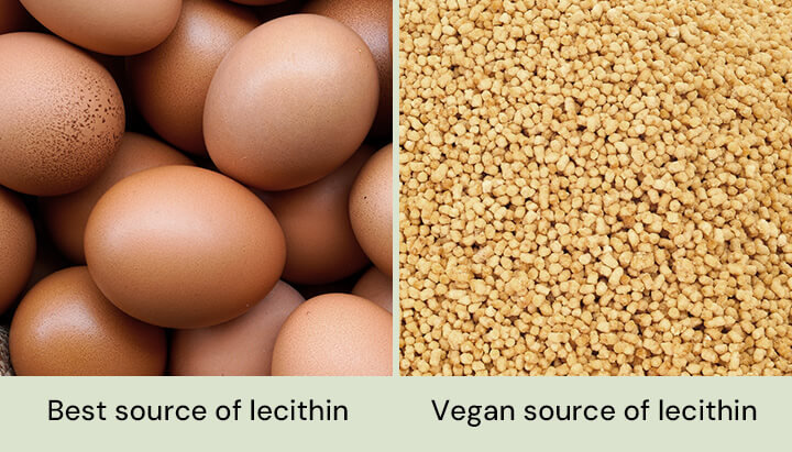 lecithin cources