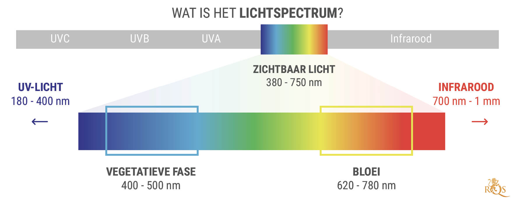 Wat Is Het Lichtspectrum? Wat Is Het Lichtspectrum?