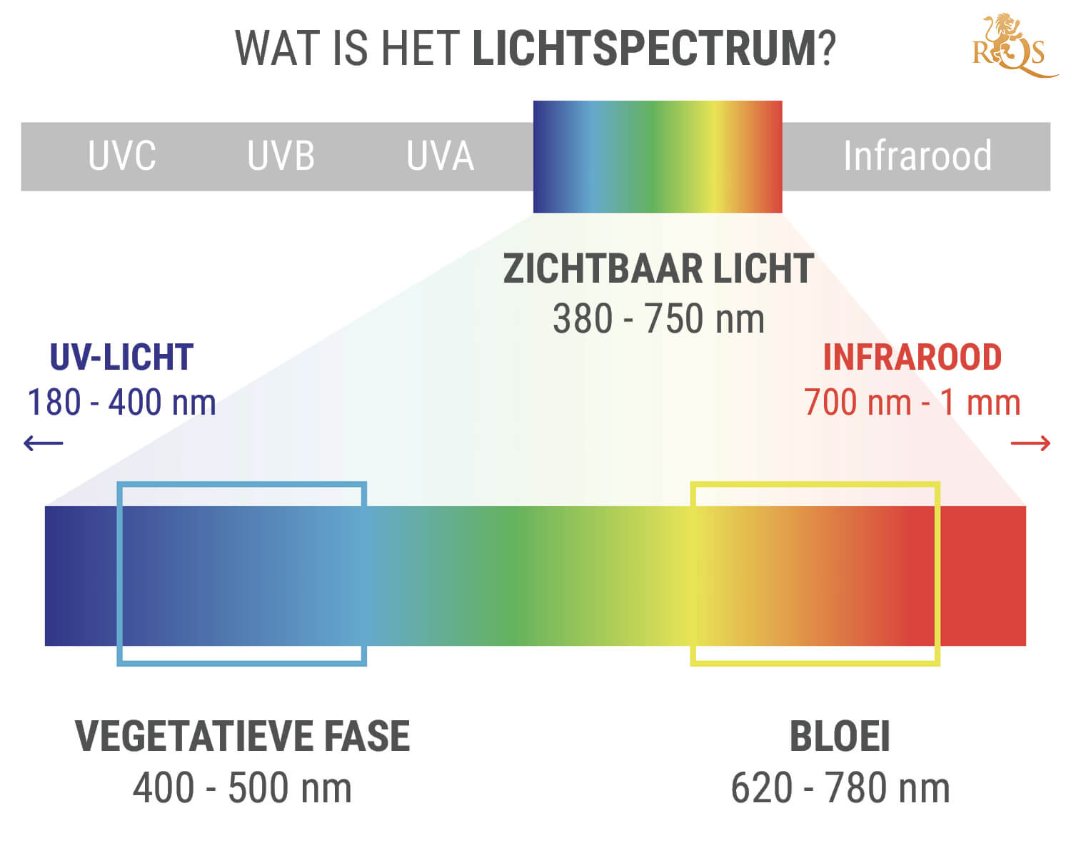 Wat Is Het Lichtspectrum? Wat Is Het Lichtspectrum?