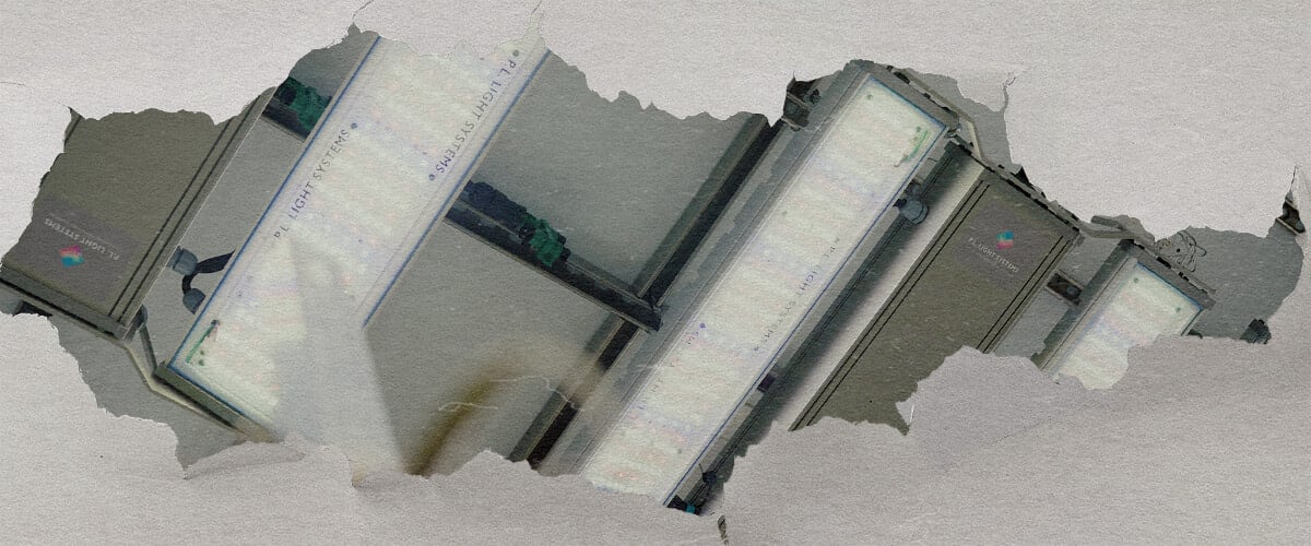 CRIC Labs Cannabis Verlichting en Controle Gids Een illustratie van een lichte kweekruimte van CRIC Labs met F1 cannabis-hybriden, met 1000 μmol PPFD verlichting, sensoren voor vochtigheid en temperatuur, en fertirrigatie met inert kweekmedium, tegen een groene achtergrond.