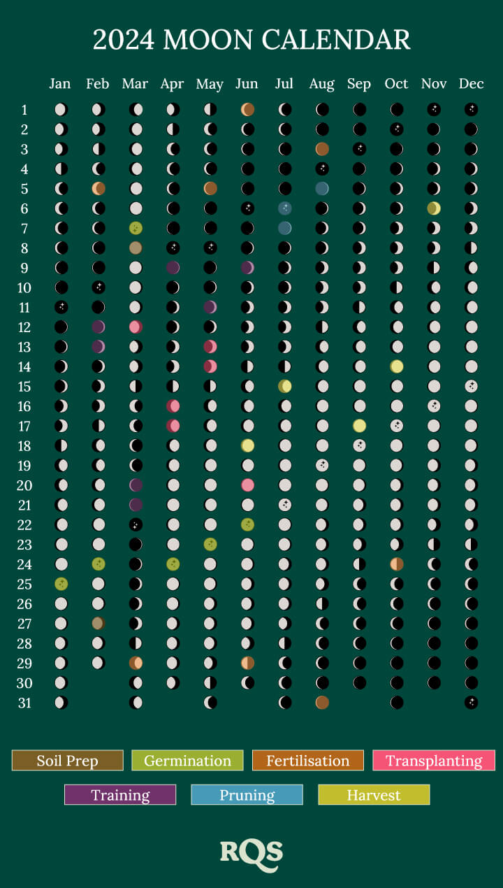 MOON CALENDAR