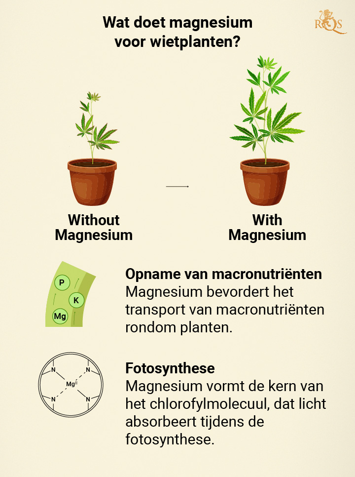 Magnesium benefits for cannabis plants