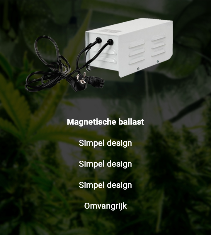 Magnetische ballast