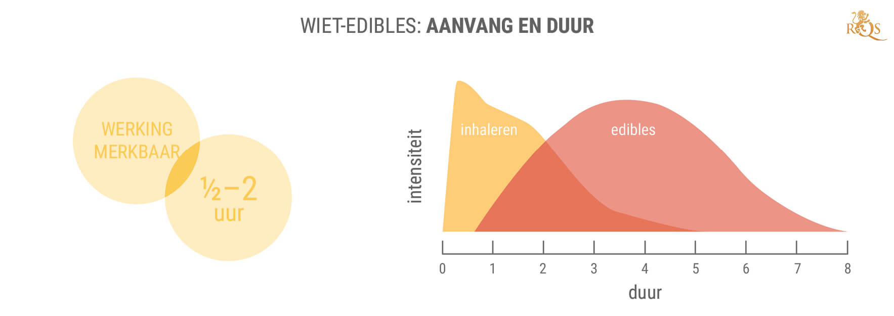 De Voordelen van 11-hydroxy-THC en Edibles