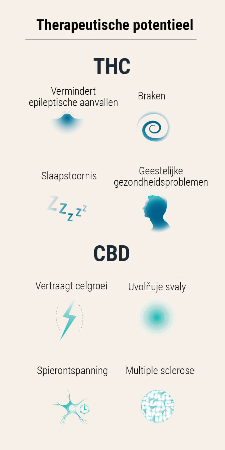 Medical cannabis seeds Medical cannabis seeds