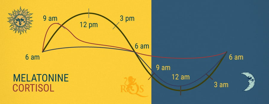 Melatonine en Cortisol 