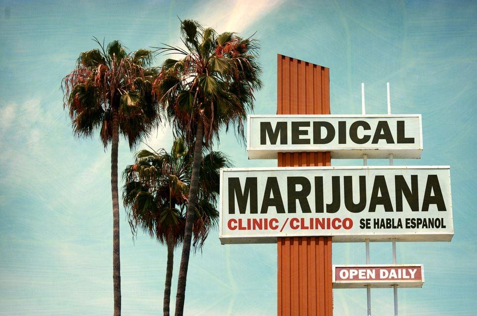 Medische cannabis zaden 