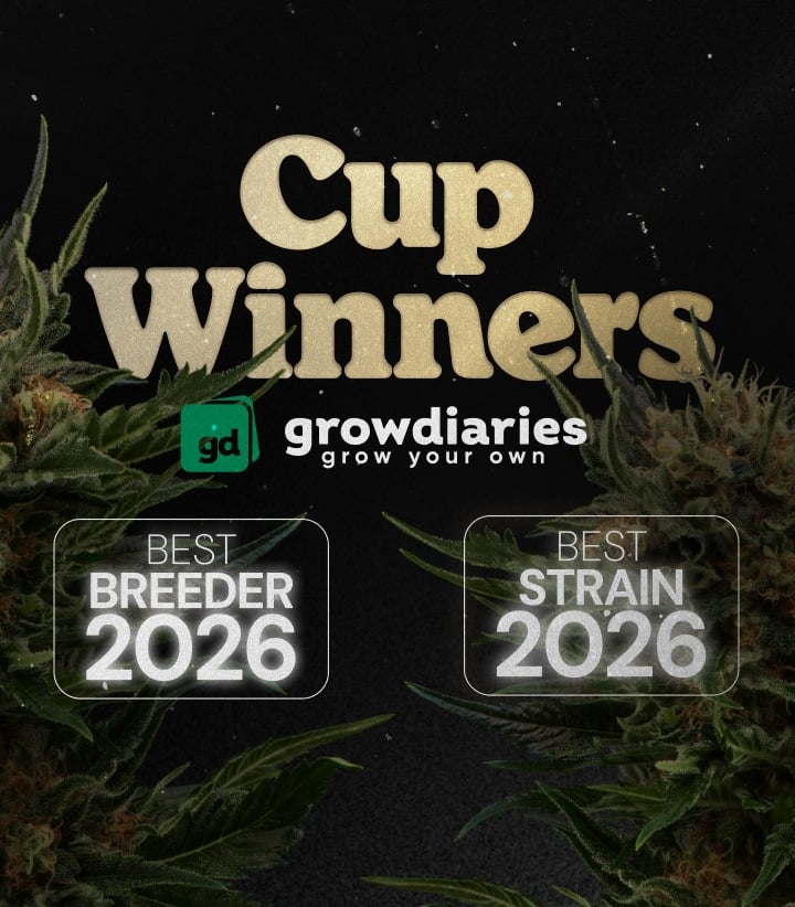 Cup Winners 2026 cannabis awards banner met beste soort en beste breeder, cannabis toppen en GrowDiaries logo