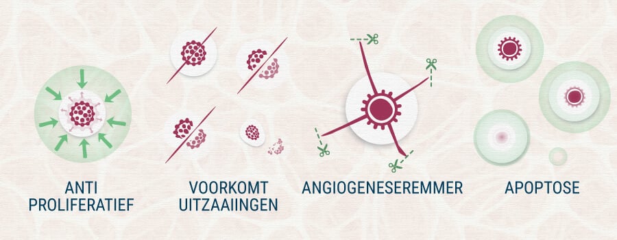 AntiProliferatief, Voorkomt Uitzaaiingen, Angiogeneseremmer