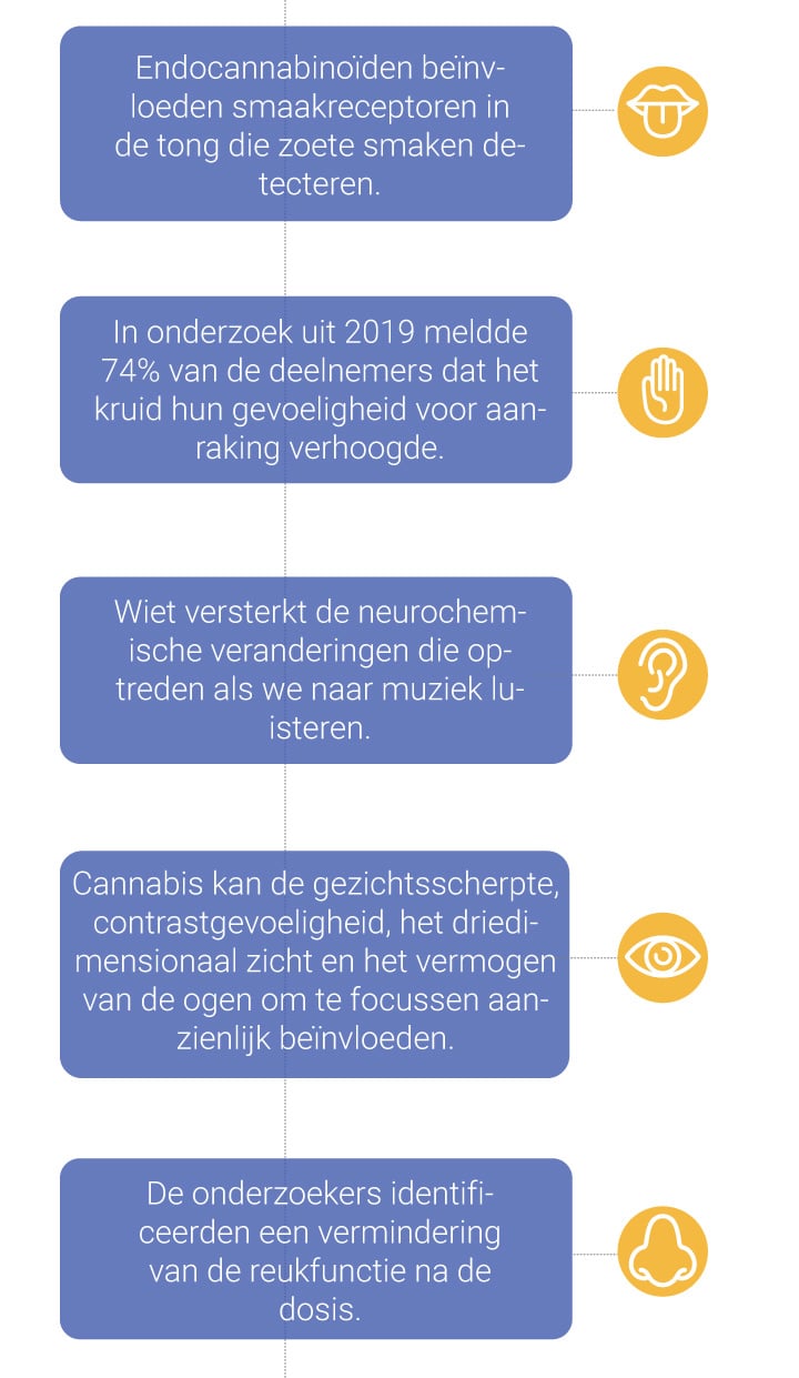 De invloed van cannabis op de zintuigen