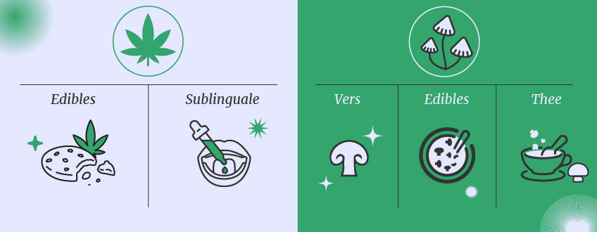 Wiet versus paddo's Wiet versus paddo's