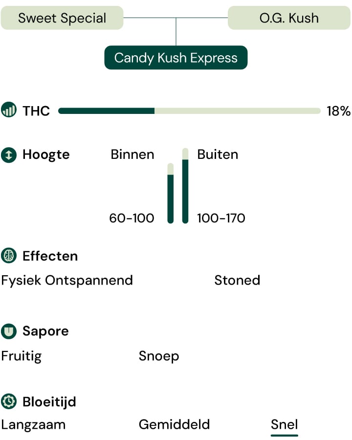 Kenmerken van de soort Candy Kush Express Kenmerken van de soort Candy Kush Express