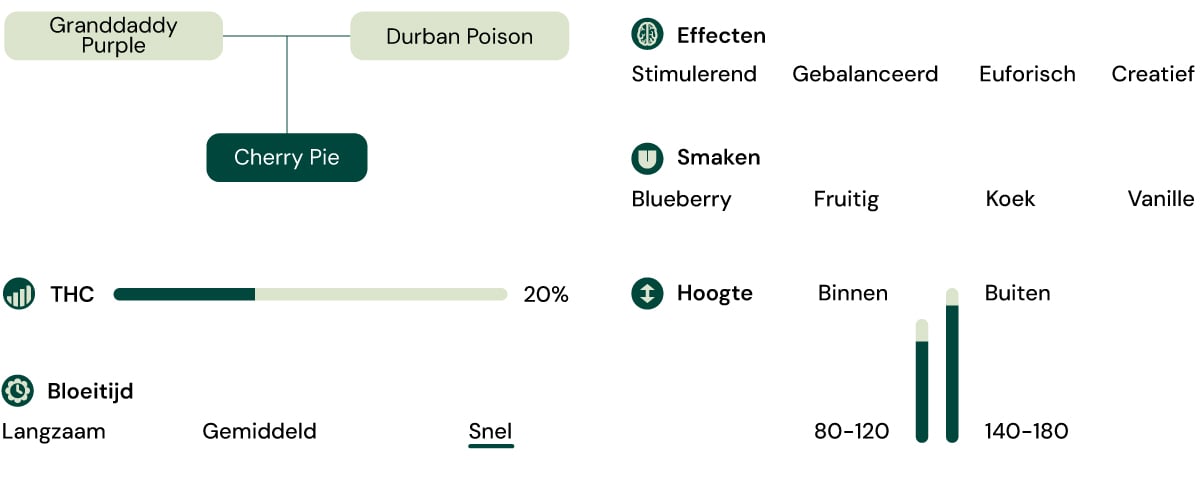 Kenmerken van de soort Cherry Pie Kenmerken van de soort Cherry Pie