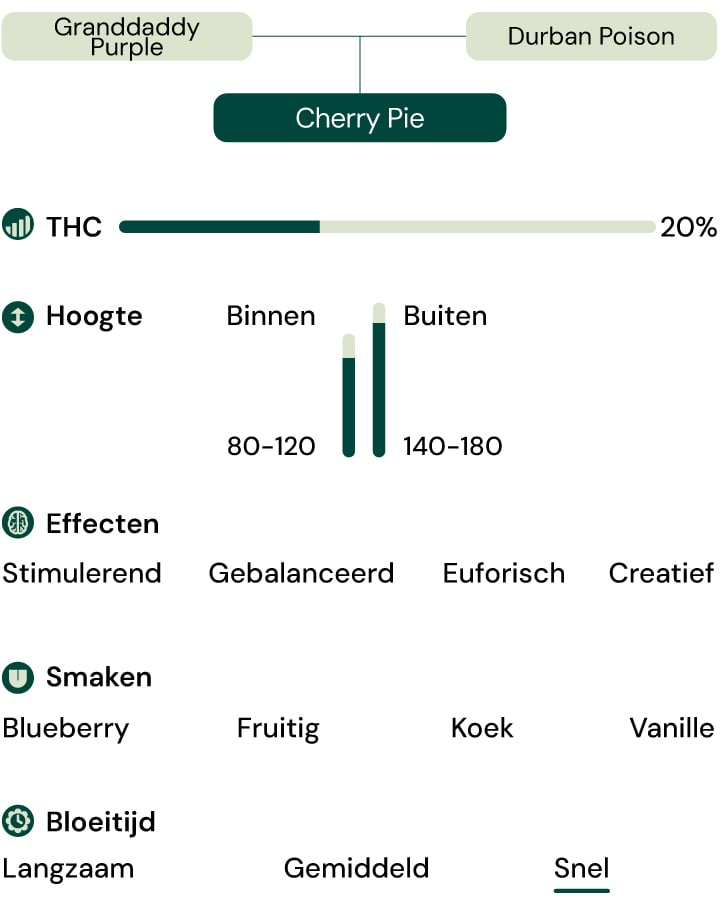 Kenmerken van de soort Cherry Pie Kenmerken van de soort Cherry Pie