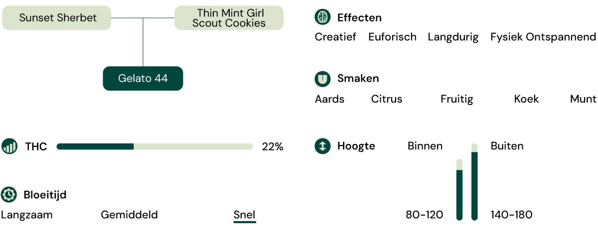 Kenmerken van de soort Gelato 44 Kenmerken van de soort Gelato 44