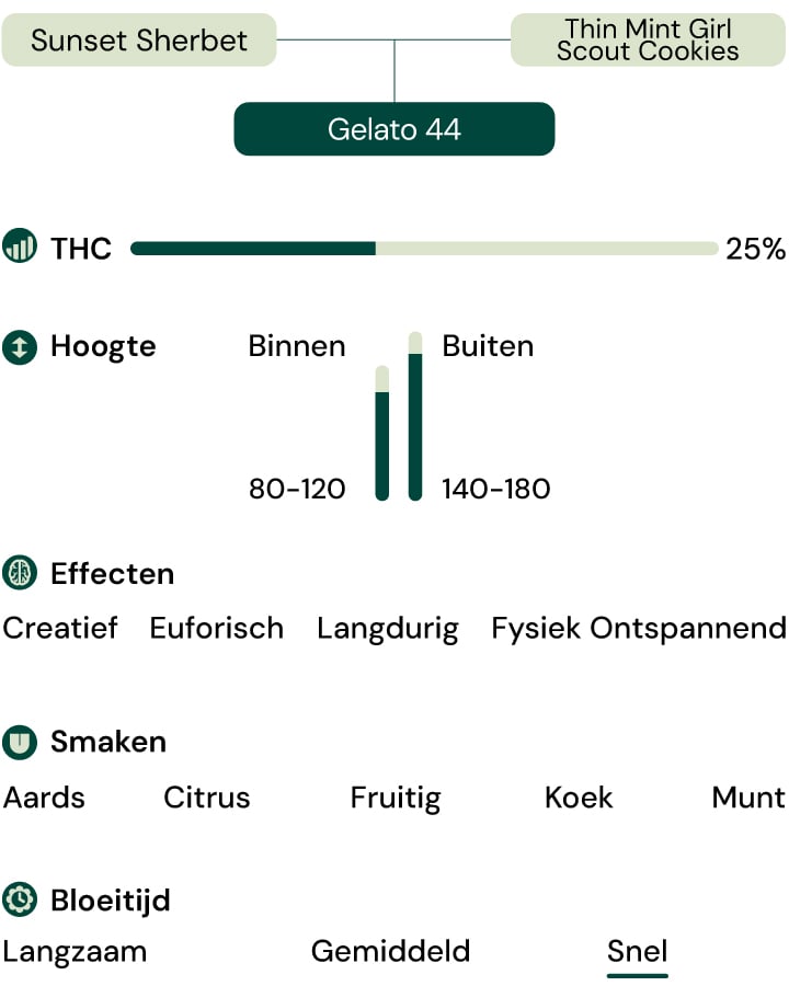 Kenmerken van de soort Gelato 44 Kenmerken van de soort Gelato 44