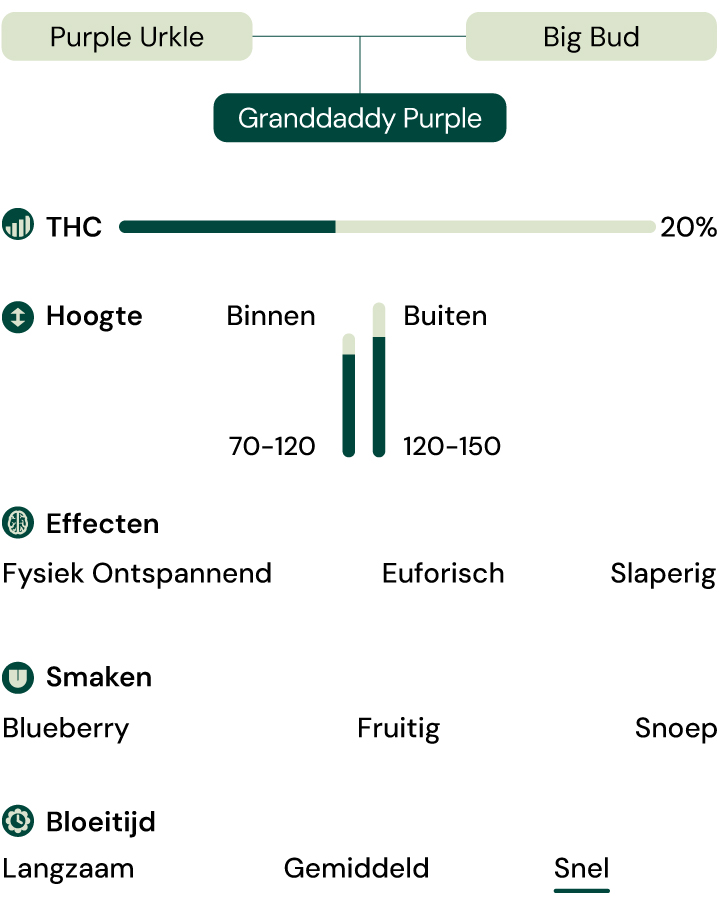 Kenmerken de la soort Granddaddy Purple Kenmerken de la soort Granddaddy Purple