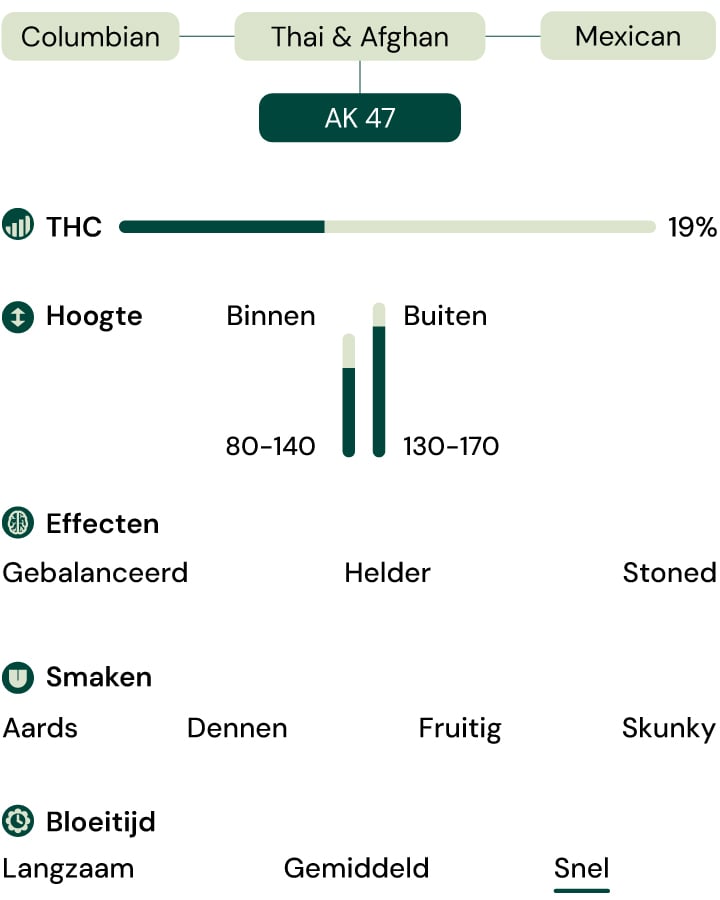 Kenmerken van de soort Royal AK (AK-47)