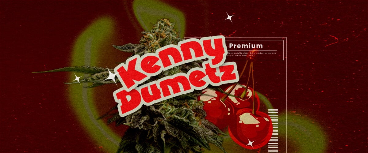 Oorsprong en Geschiedenis van Cherry Pie Weed Een illustratie met een cannabisbloem, de tekst