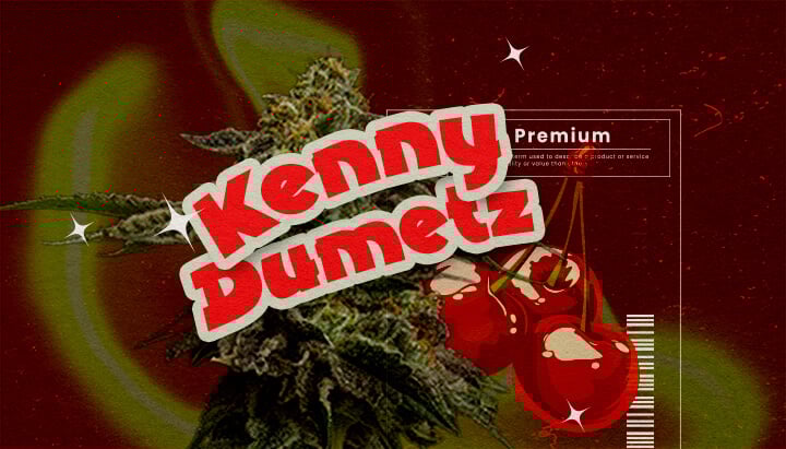 Oorsprong en Geschiedenis van Cherry Pie Weed Een illustratie met een cannabisbloem, de tekst