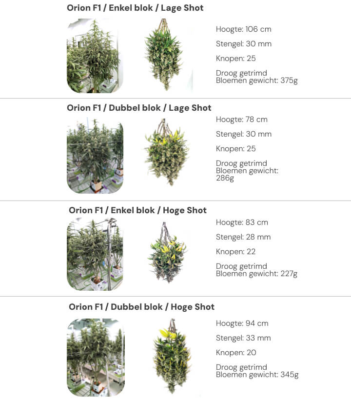 Resultatenoverzicht van Orion F1 met vergelijking tussen single block en dual block bij lage en hoge irrigatie