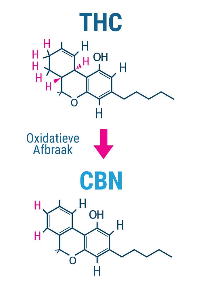 Bestaan de Ontspannende Effecten van CBN echt? Bestaan de Ontspannende Effecten van CBN echt?