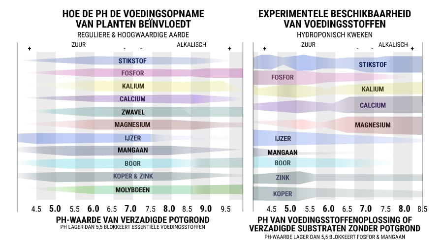 Hoe de PH de Voedingsopname Van Planten Beïnvloedt 