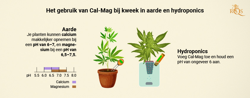 When to apply Cal-Mag When to apply Cal-Mag